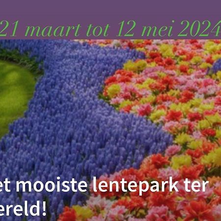 Lodge Noordwijk Kültér fotó