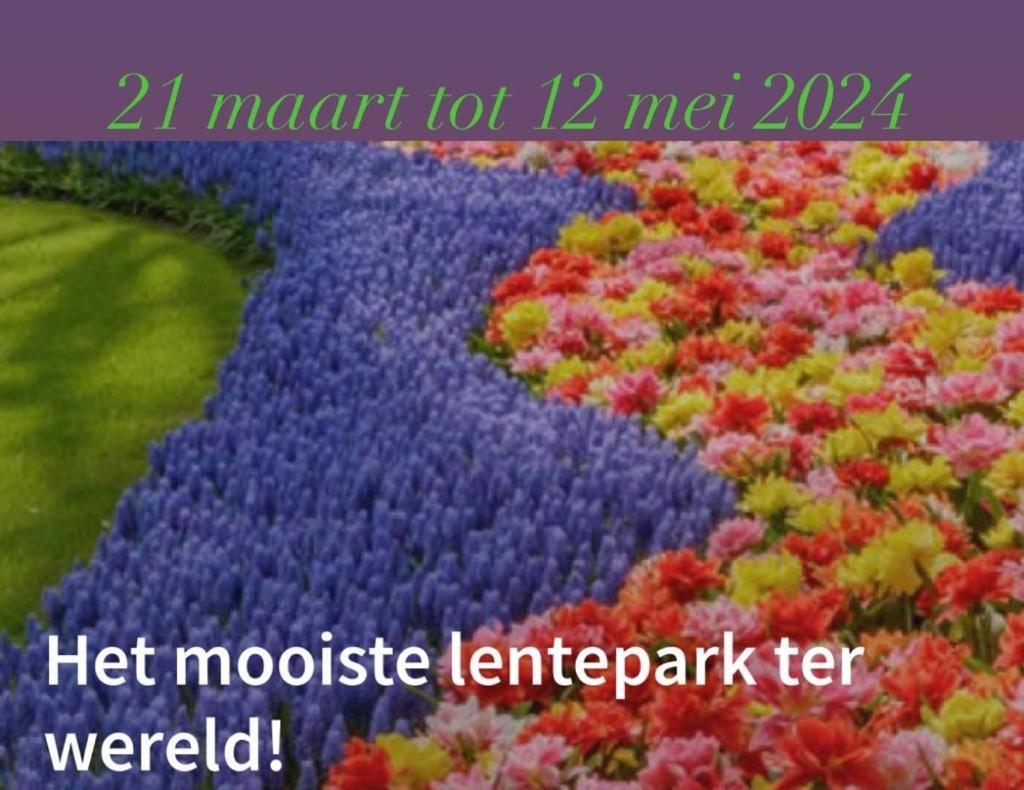 Lodge Noordwijk Kültér fotó