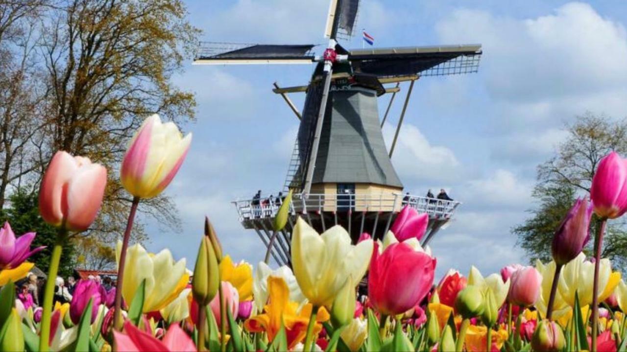 Lodge Noordwijk Kültér fotó